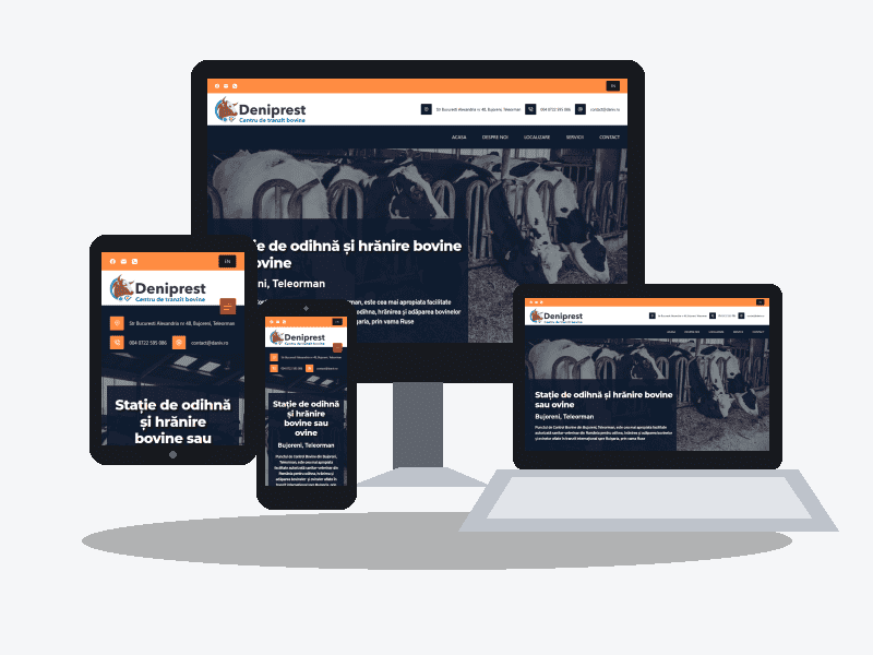 Site de prezentare multilingv Daniv.ro 33 site de prezentare multilingv Daniv.ro - proiect SEO si mobile first